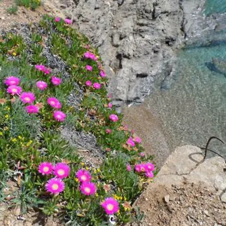 Ferienhaus Meraviglioso Villino Direttamente Sul Mare Con Posto Auto E Aria Condizionata! Capoliveri (Isola d'Elba)