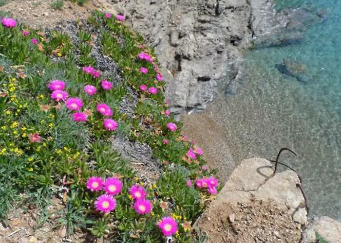 Vakantiehuis Incantevole Villino Sul Mare Con Accesso Diretto Spiaggia, Posto Auto E Aria Condizionata! Capoliveri (Isola d'Elba)